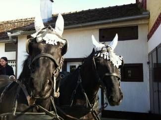 Štimac podnio ostavku: ¨Nije nikakva svađa u pitanju, ostavka je osobne prirode¨