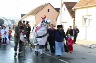 Maškare zauzele Pleternicu: Pogledajte veselu povorku!